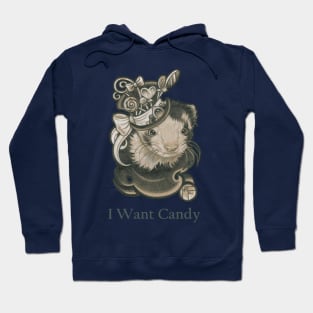 The Candy Lover Ferret - I Want Candy - Charcoal Outlined Version Hoodie